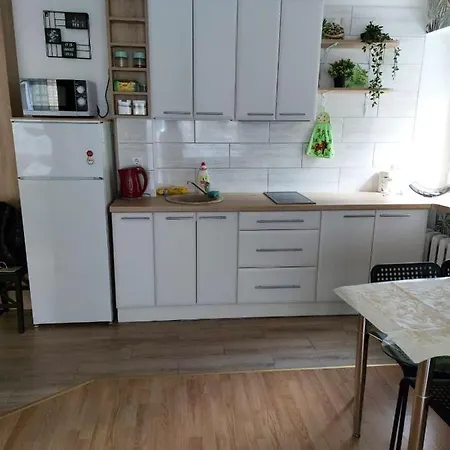 Apartamentai „kaip Namuose“ * 드루스키닝카이