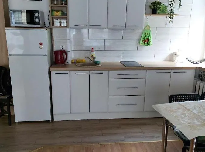 Apartamentai „kaip Namuose“ * Druskieniki
