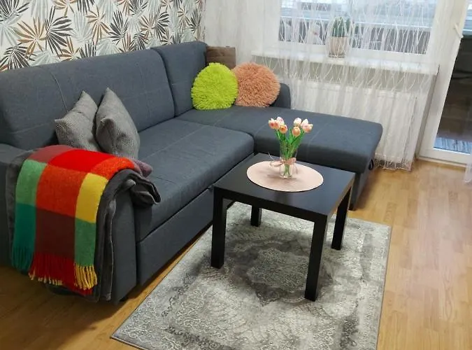 Apartamentai „kaip Namuose“ Druskieniki